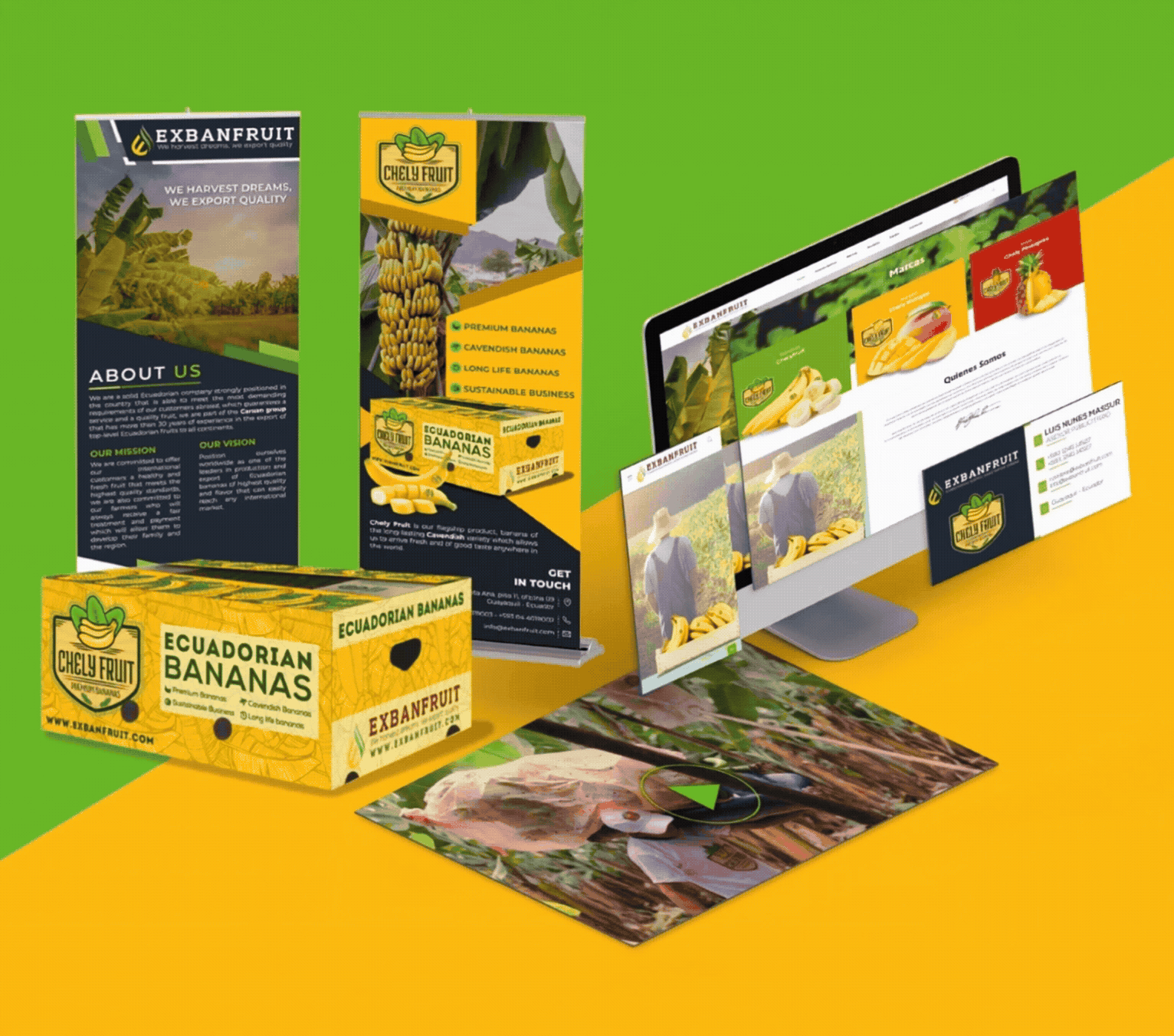 Exbanfruit Branding, Web and Integrated Communication